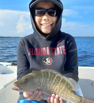 Mangrove Snapper Fishing Trips